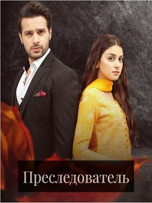 Преследователь (2022)